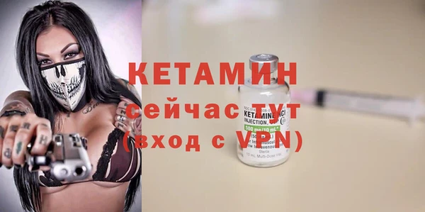 трава Аркадак