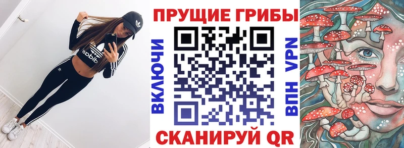 Псилоцибиновые грибы ЛСД  blacksprut ONION  Унеча 